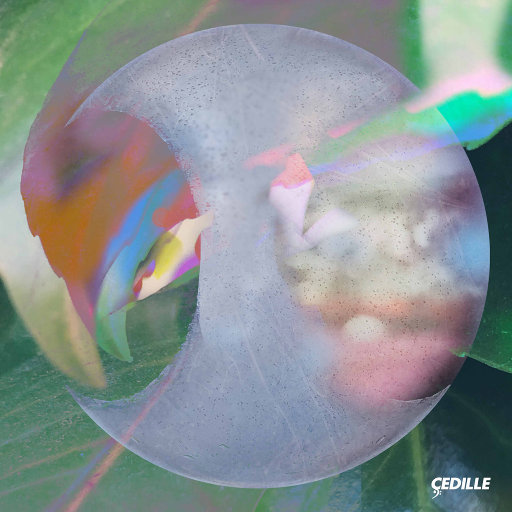 欧美女星安姨内射视频
